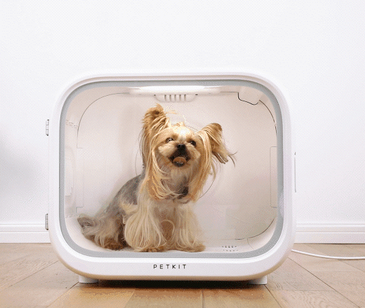 AirSalon Max Pet Dryer Box features progressive temperature-controlled airflow that gradually increases for a calm and comfortable drying experience