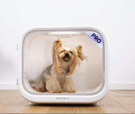 Gradually increasing temperature-controlled airflow in AirSalon Max Pro Pet Dryer Box for safe and comfortable pet grooming