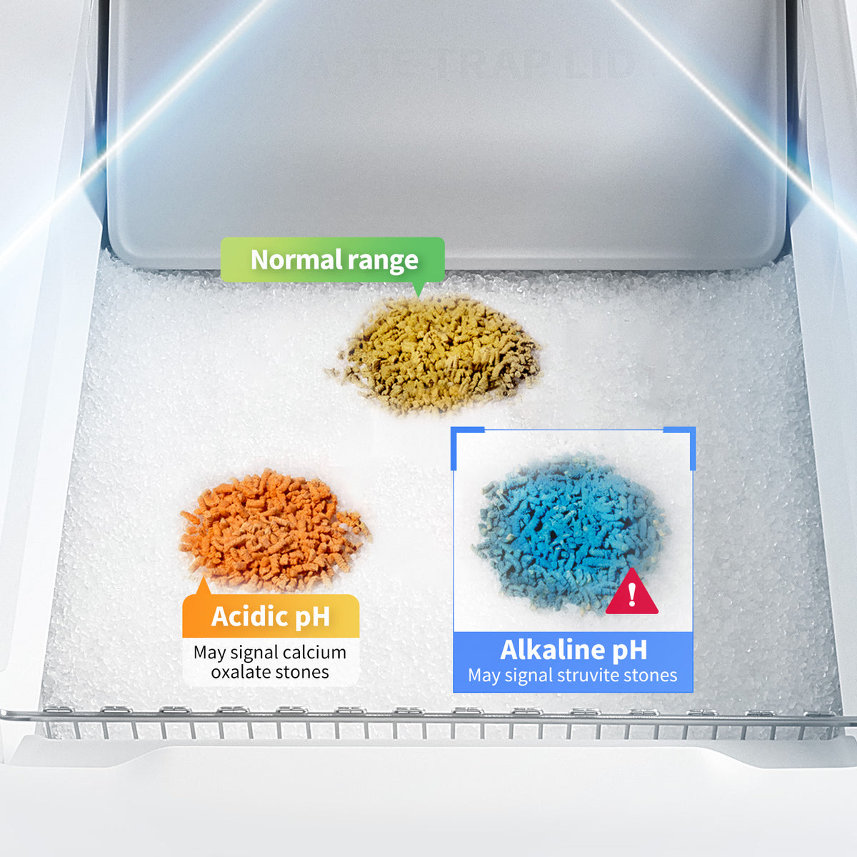 Urinary Health Monitoring
