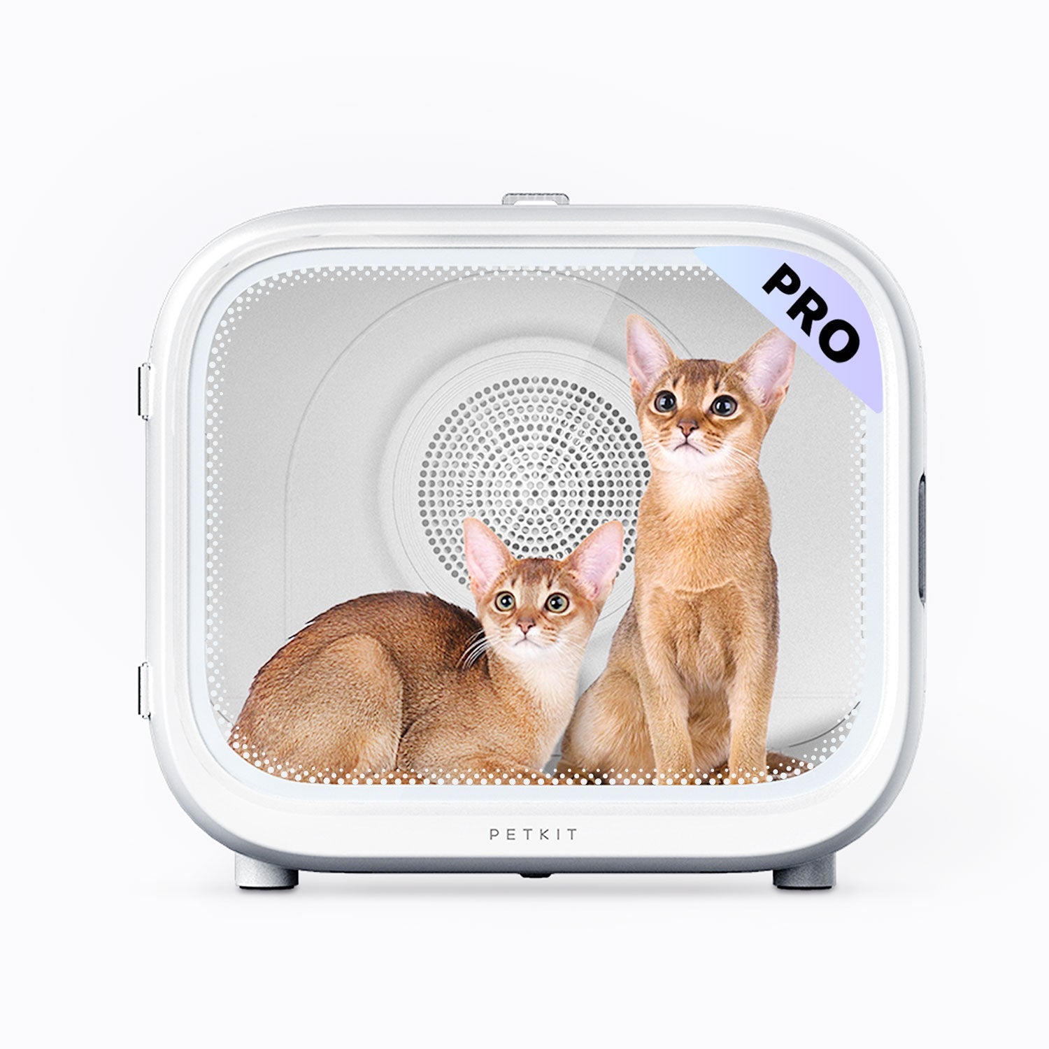 AirSalon Max Pro Pet Dryer Box featuring a spacious 60L interior for comfortable pet positioning and efficient airflow circulation