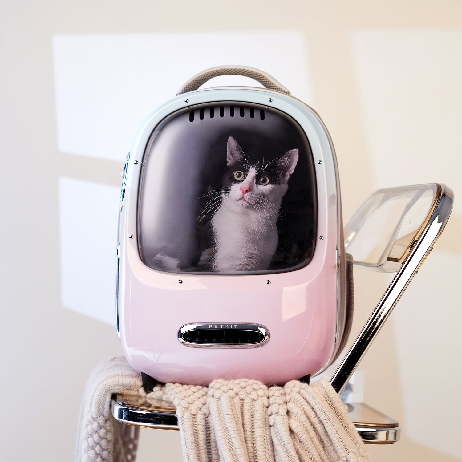 Breezy 2 Cat Carrier providing a spacious and breathable interior where cats can sit comfortably and relax during outdoor use