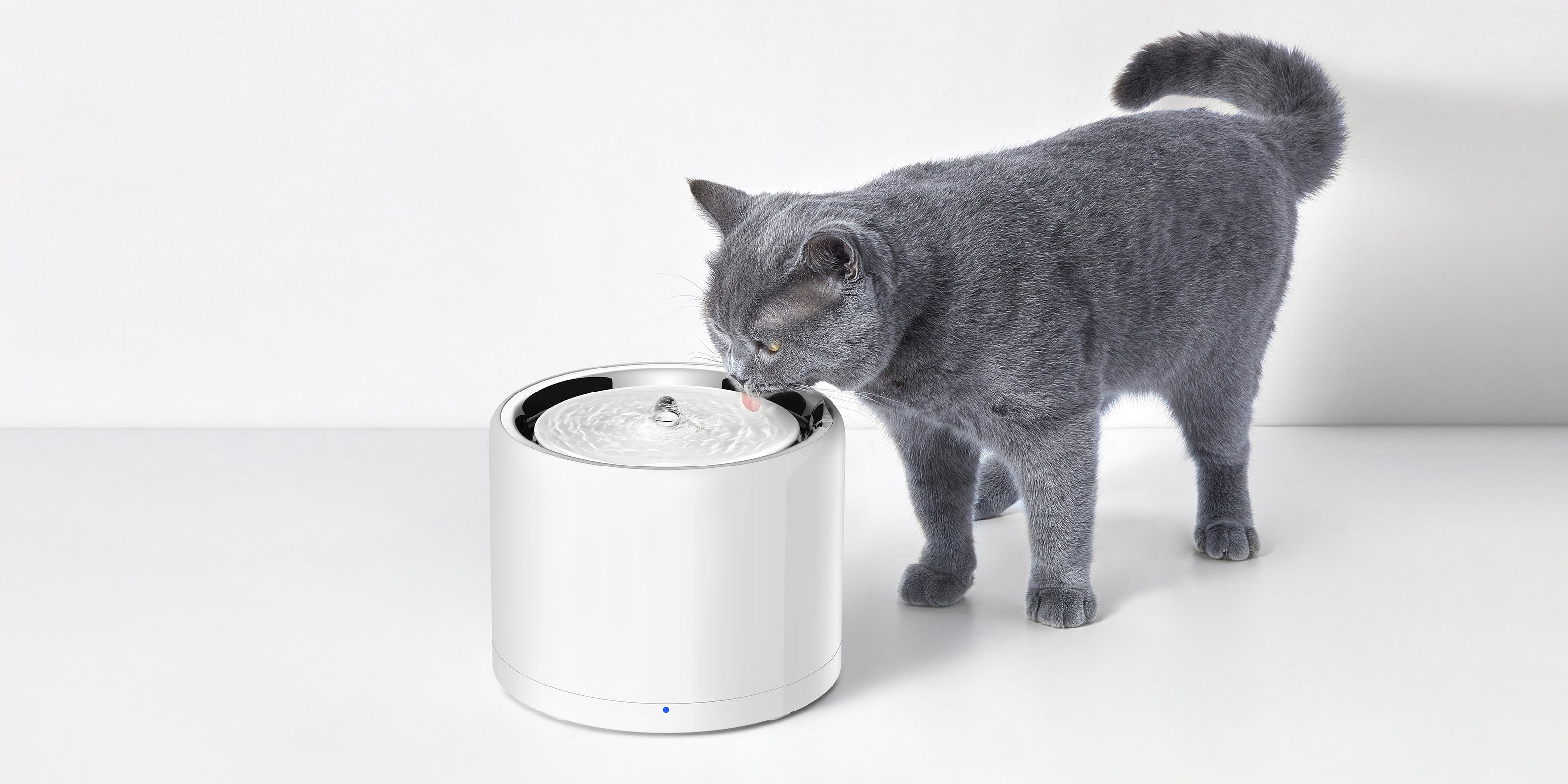 EverSweet 3 Pro UVC Pet Water Fountain delivering bubbling purity and consistently fresh drinking water