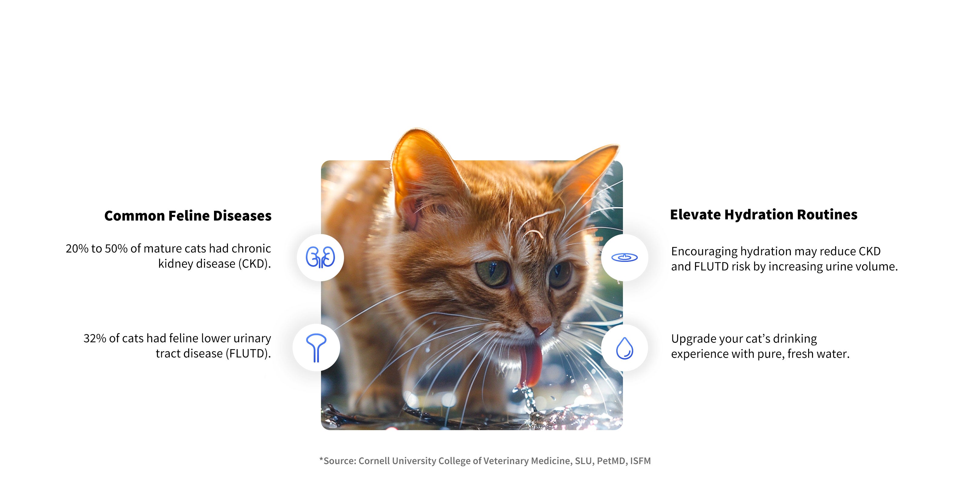 EverSweet Max pet water fountain illustrating how improved hydration supports healthier daily drinking habits for cats