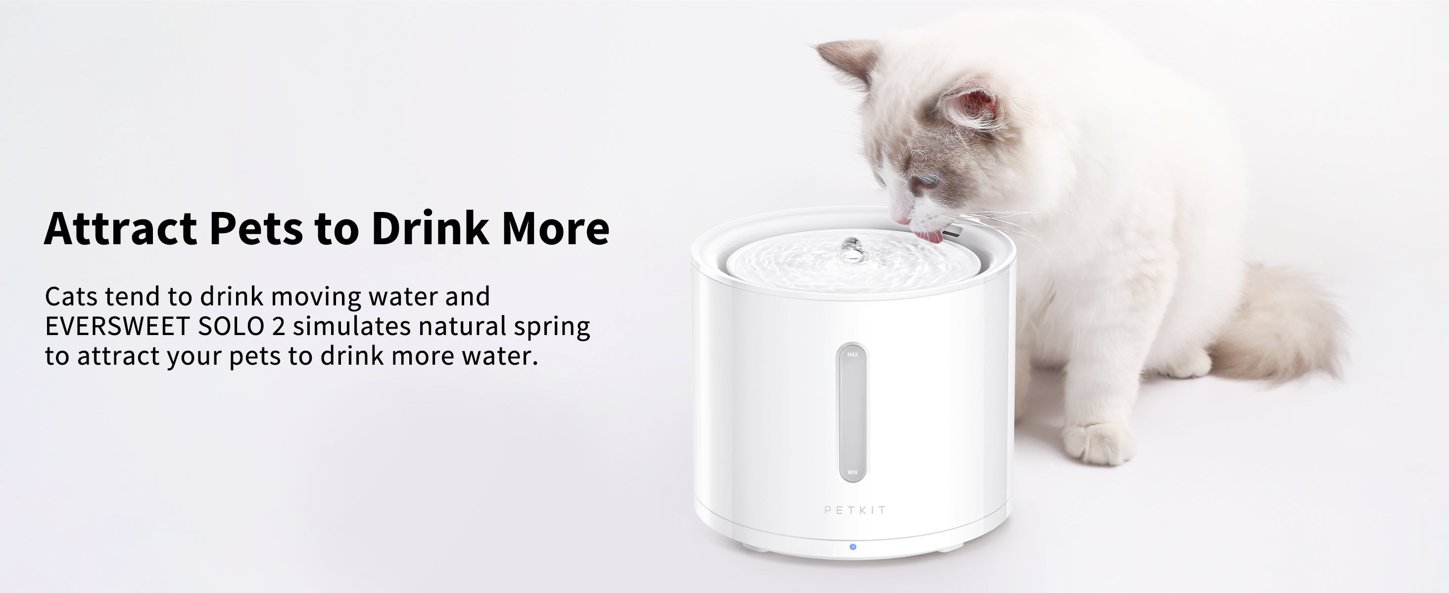 EverSweet Solo 2 Pet Water Fountain with flowing water design that simulates a natural spring to attract cats to drink more water