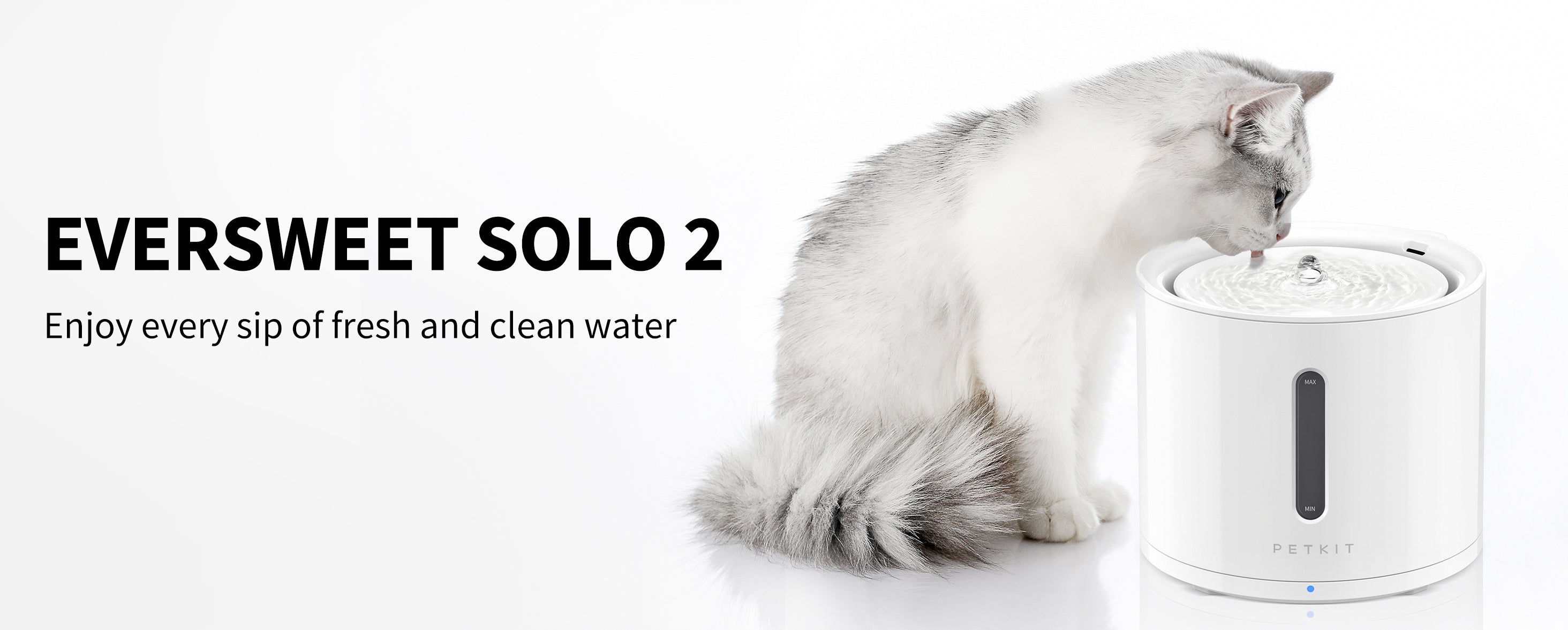 EverSweet Solo 2 Pet Water Fountain designed to provide fresh and clean drinking water for everyday use