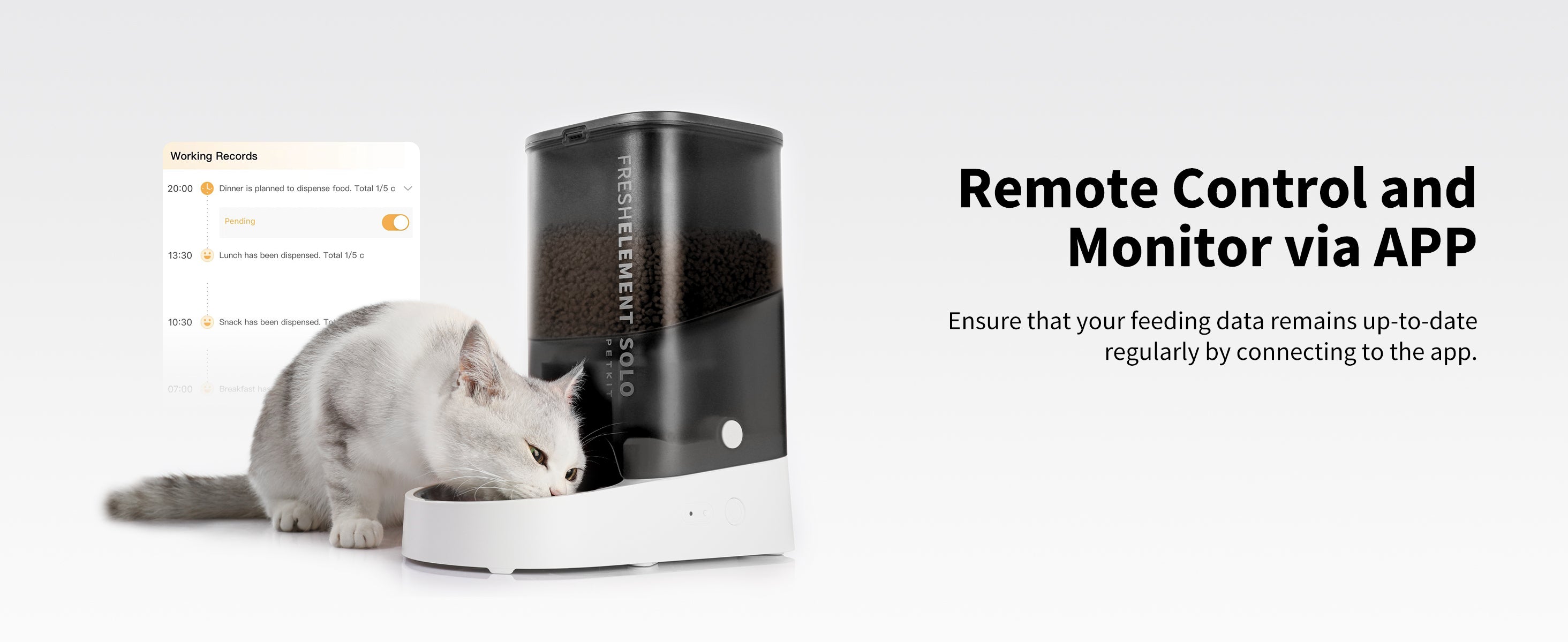 Fresh Element Solo automatic cat feeder feeding monitored via app, keeping track of time and duration of each feeding session