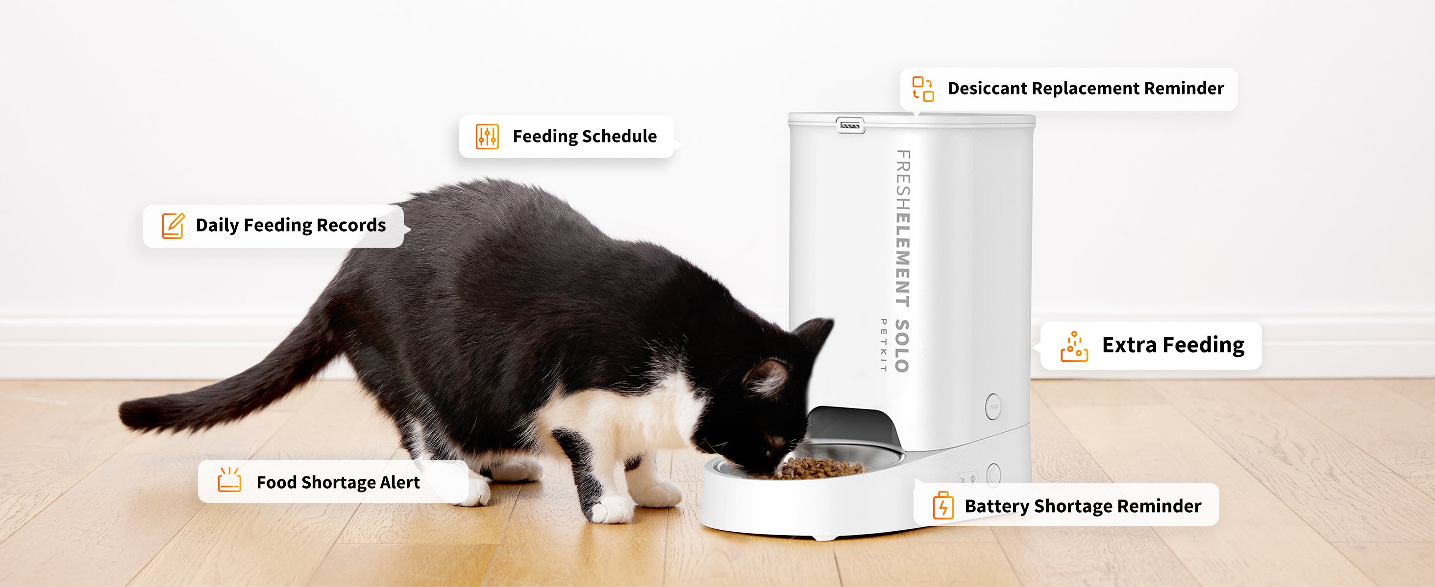 Fresh Element Solo automatic cat feeder shows cat feeding with app features like feeding schedule, daily records, food shortage alert, desiccant replacement, extra feeding, and battery reminders