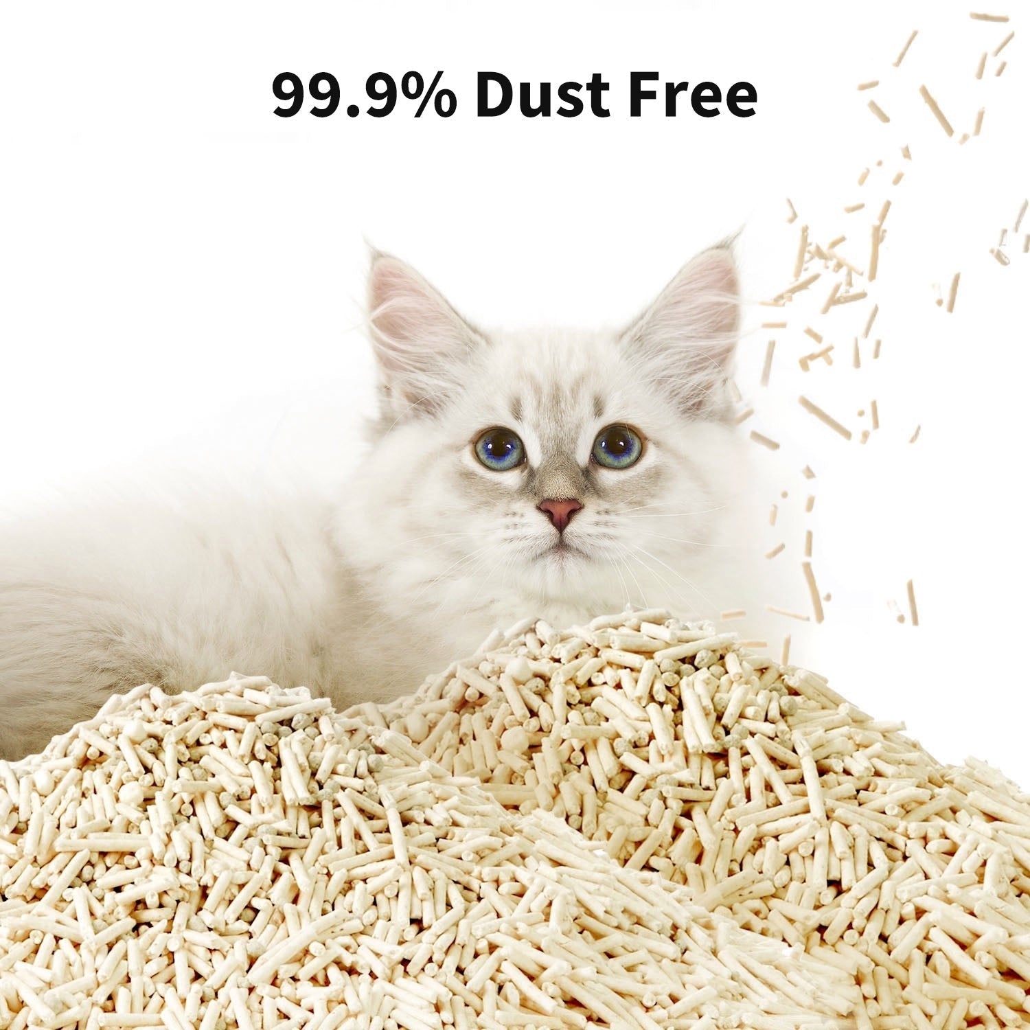 Occult Blood Test Mixed Cat Litter demonstrating 99.9% dust-free performance, protecting cats’ and owners’ respiratory health