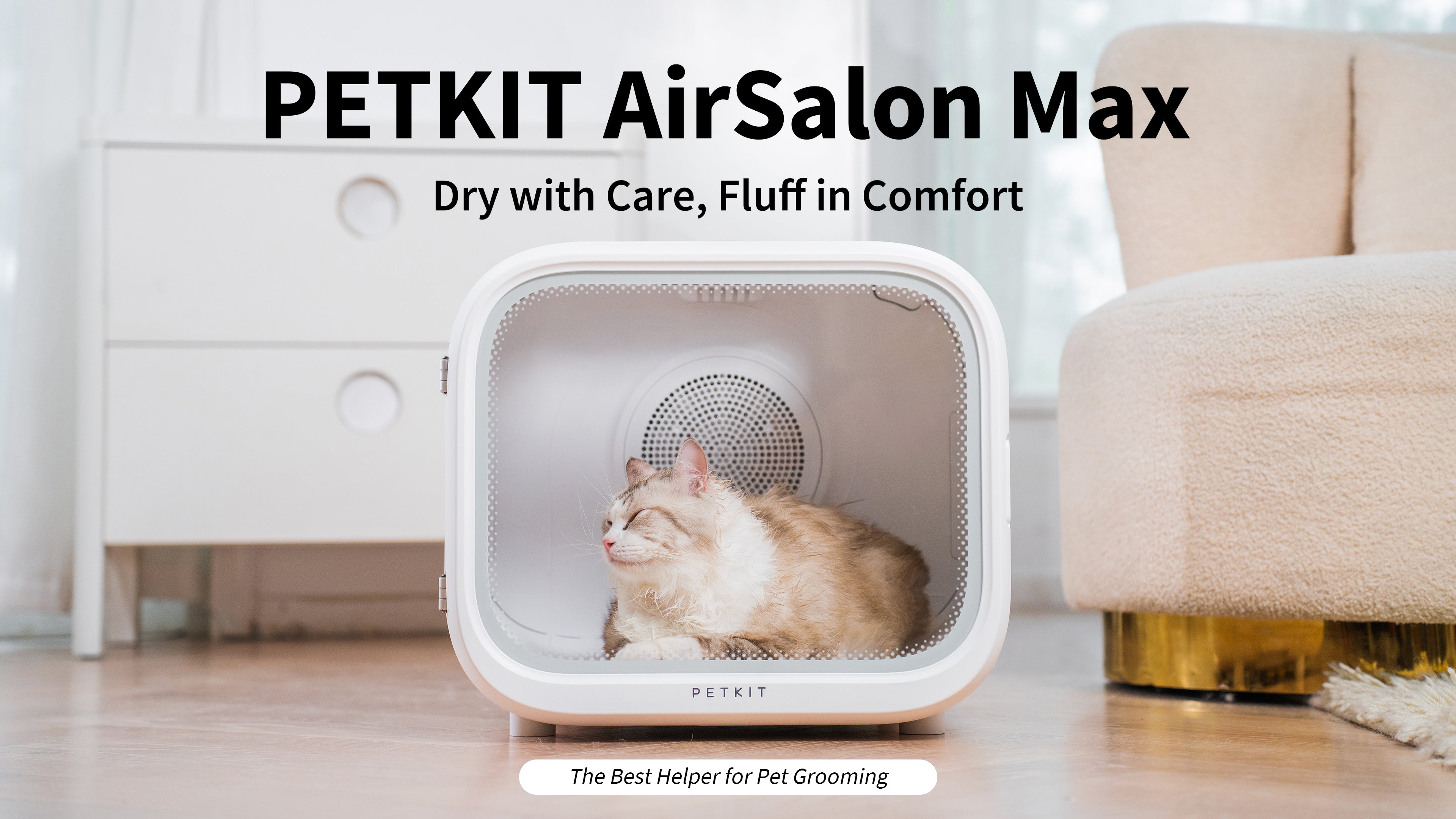 The PETKIT AirSalon Max banner shows a Ragdoll cat comfortably inside the drying box.